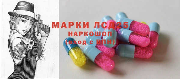 шишки Арсеньев