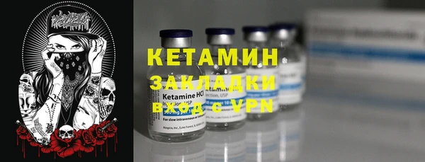 шишки Арсеньев