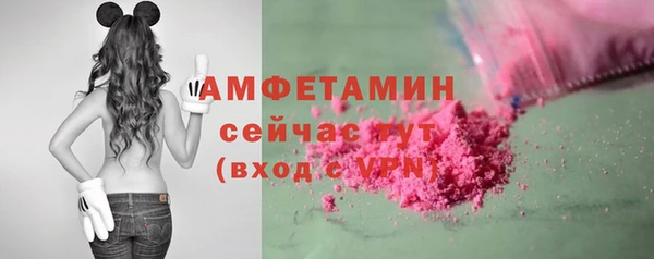 шишки Арсеньев