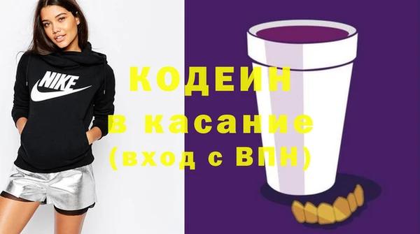 шишки Арсеньев