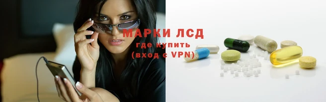шишки Арсеньев