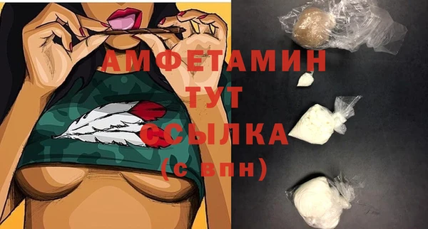 шишки Арсеньев
