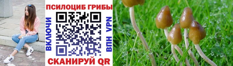 Псилоцибиновые грибы ЛСД  Саяногорск 